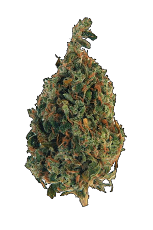 Purple Candy | Pink Joint Canada Purple Candy | Pink Joint Canada