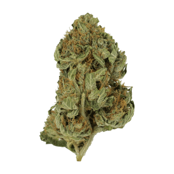 Bubblegum – 1 ounce | Pink Joint Canada