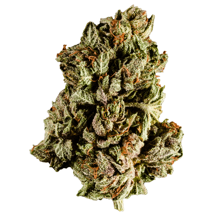 Purple Frost | Pink Joint Canada Purple Frost | Pink Joint Canada