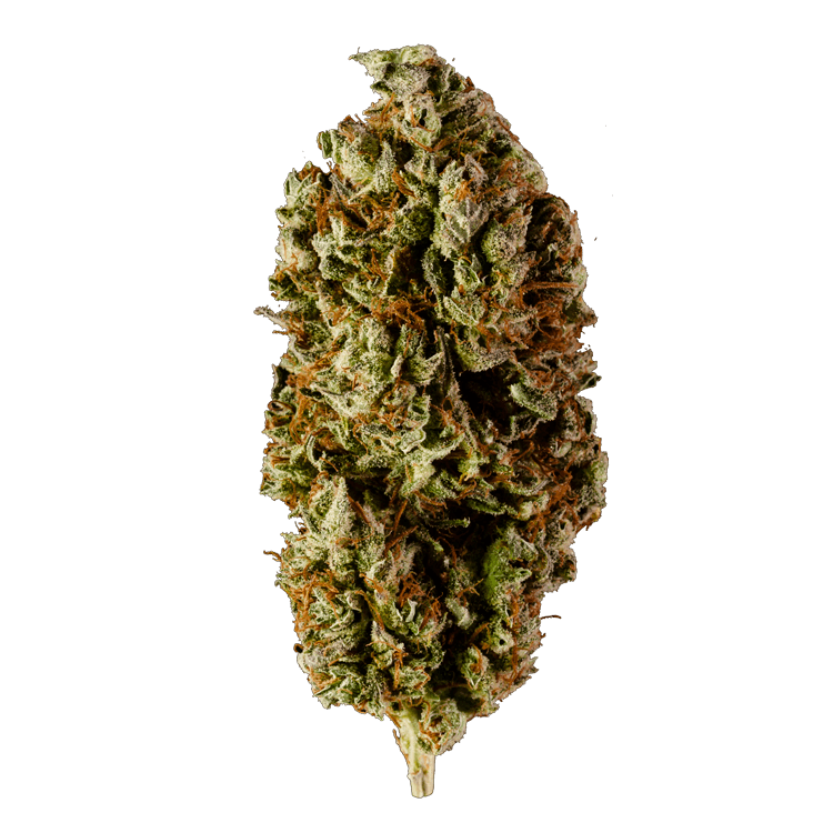 Watermelon | Pink Joint Canada Watermelon | Pink Joint Canada