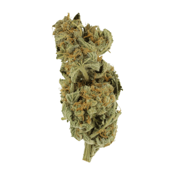 Gorilla Glue | Pink Joint Canada