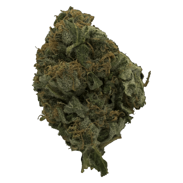 Chocolate Orange – 1 Ounce | Pink Joint Canada Chocolate Orange – 1 Ounce | Pink Joint Canada