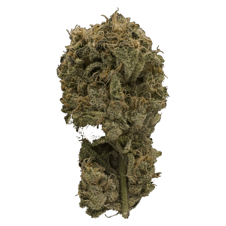 Ayahuasca Purple | Pink Joint Canada Ayahuasca Purple | Pink Joint Canada