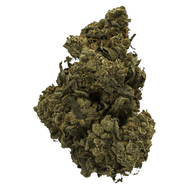 Jack Herer 1 Ounce | Pink Joint Canada Jack Herer 1 Ounce | Pink Joint Canada