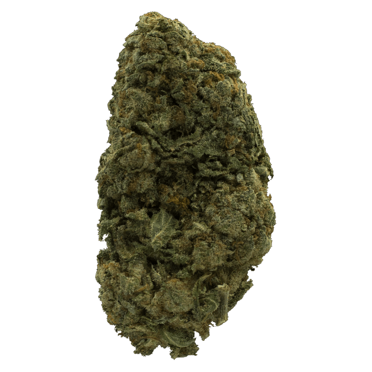 Northern Lights – 1 Ounce | Pink Joint Canada Northern Lights – 1 Ounce | Pink Joint Canada