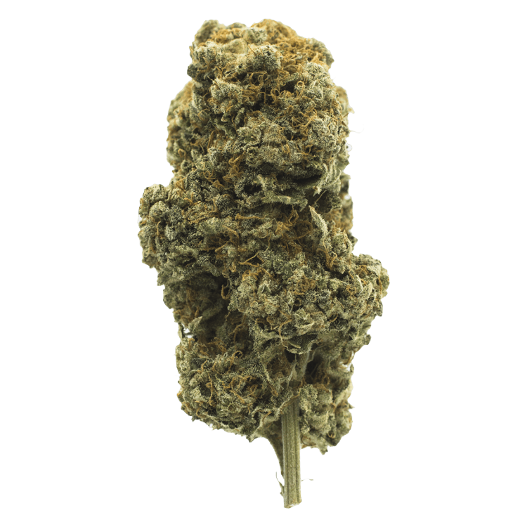 Orange Creamsicle | Pink Joint Canada Orange Creamsicle | Pink Joint Canada