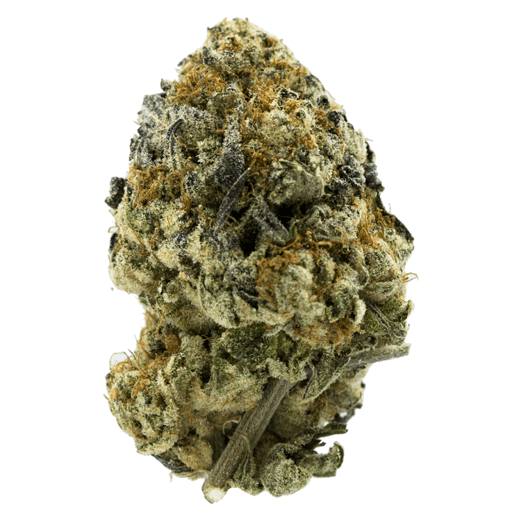 Wedding Crasher | Pink Joint Canada Wedding Crasher | Pink Joint Canada