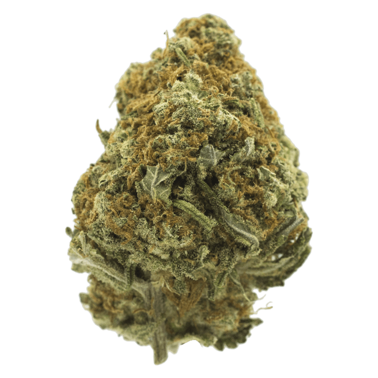 Cappuccino 420 | Pink Joint Canada Cappuccino 420 | Pink Joint Canada