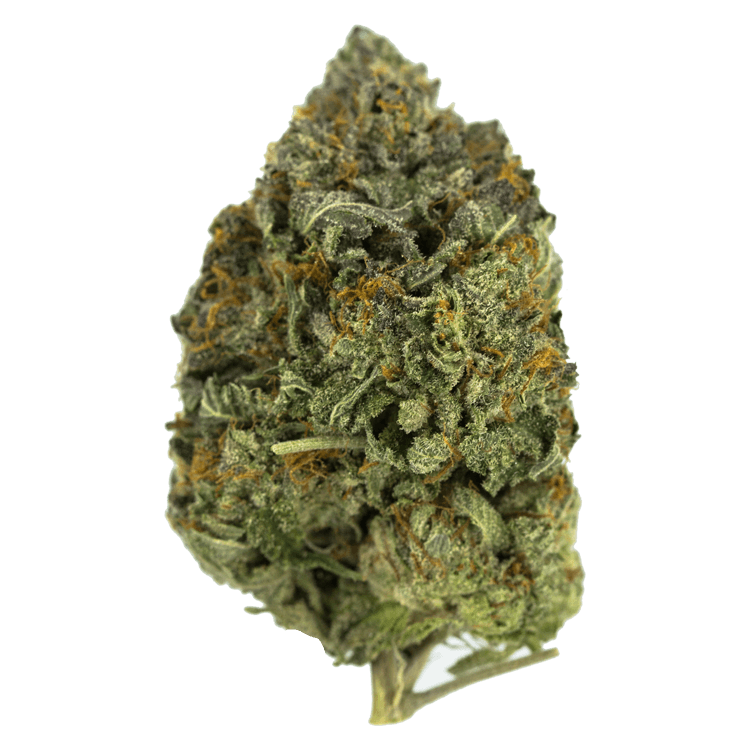 Dancehall | Pink Joint Canada Dancehall | Pink Joint Canada