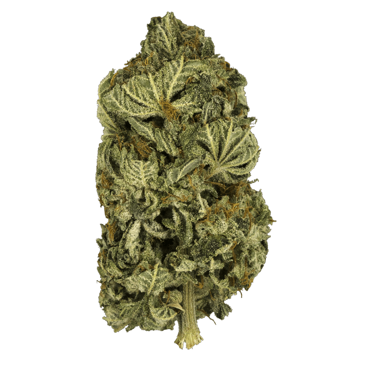 Black Gas – 1 ounce | Pink Joint Canada Black Gas – 1 ounce | Pink Joint Canada