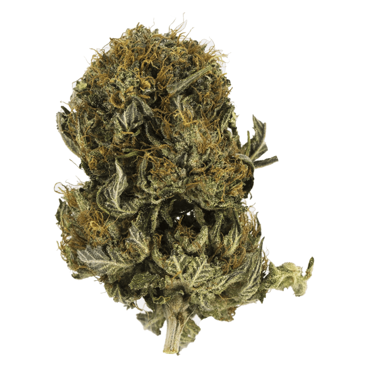 Blue Sherbert | Pink Joint Canada Blue Sherbert | Pink Joint Canada