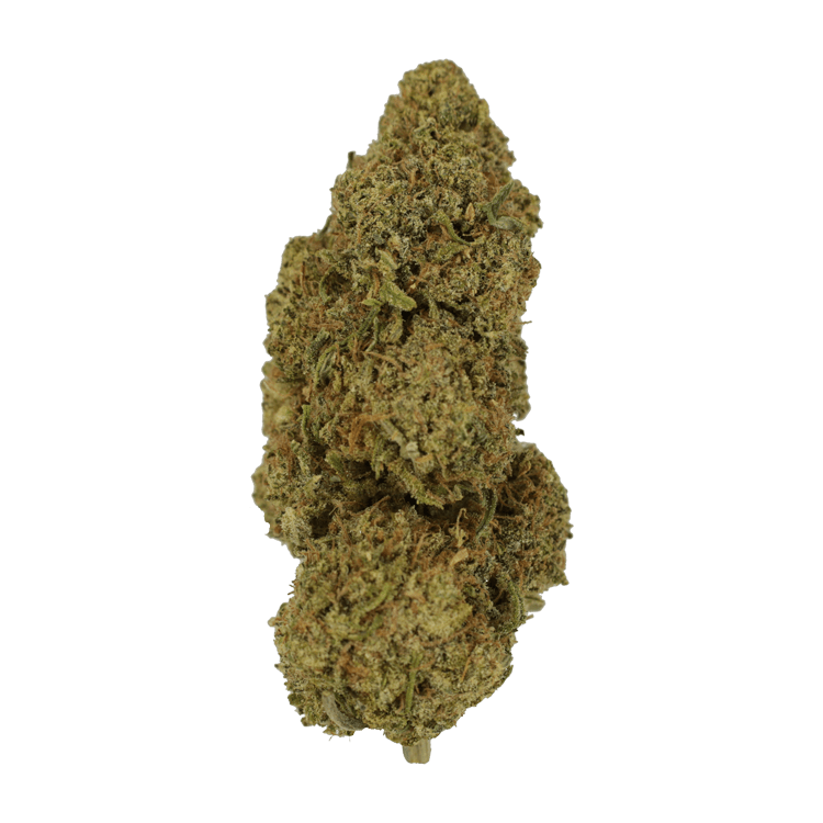 9lb Hammer | Pink Joint Canada 9lb Hammer | Pink Joint Canada