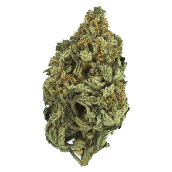 Bakerstreet | Pink Joint Canada Bakerstreet | Pink Joint Canada