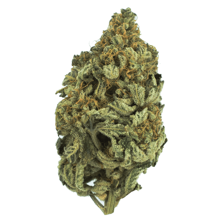 Bakerstreet | Pink Joint Canada Bakerstreet | Pink Joint Canada