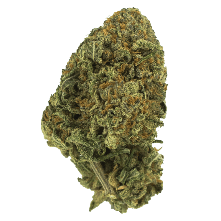 Black Nuken | Pink Joint Canada Black Nuken | Pink Joint Canada