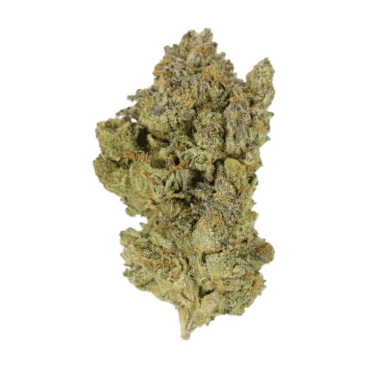 Golden Goat | Pink Joint Canada Golden Goat | Pink Joint Canada
