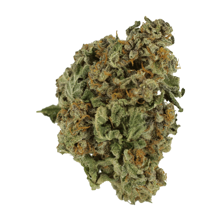 G Code | Pink Joint Canada G Code | Pink Joint Canada