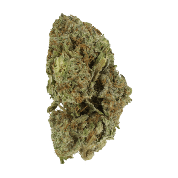 Gelato Sorbet – 1 ounce | Pink Joint Canada