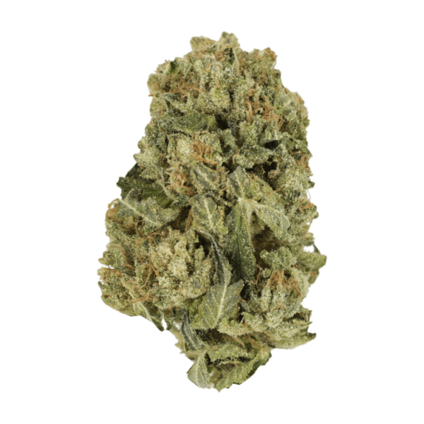 Black Domina | Pink Joint Canada
