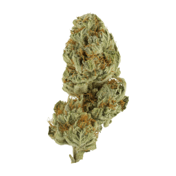 Strawberry Glue | Pink Joint Canada