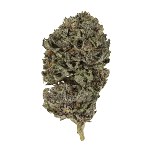 Purple Skunk | Pink Joint Canada Purple Skunk | Pink Joint Canada