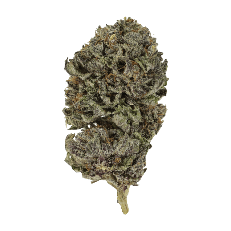 Purple Skunk | Pink Joint Canada Purple Skunk | Pink Joint Canada