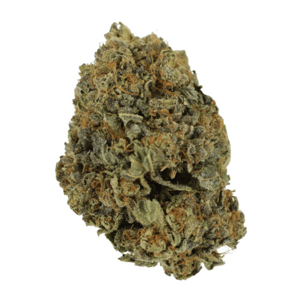 White Shark – 1 ounce | Pink Joint Canada