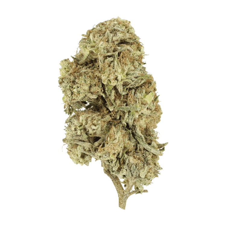 Cherry Wine (CBD) | Pink Joint Canada Cherry Wine (CBD) | Pink Joint Canada