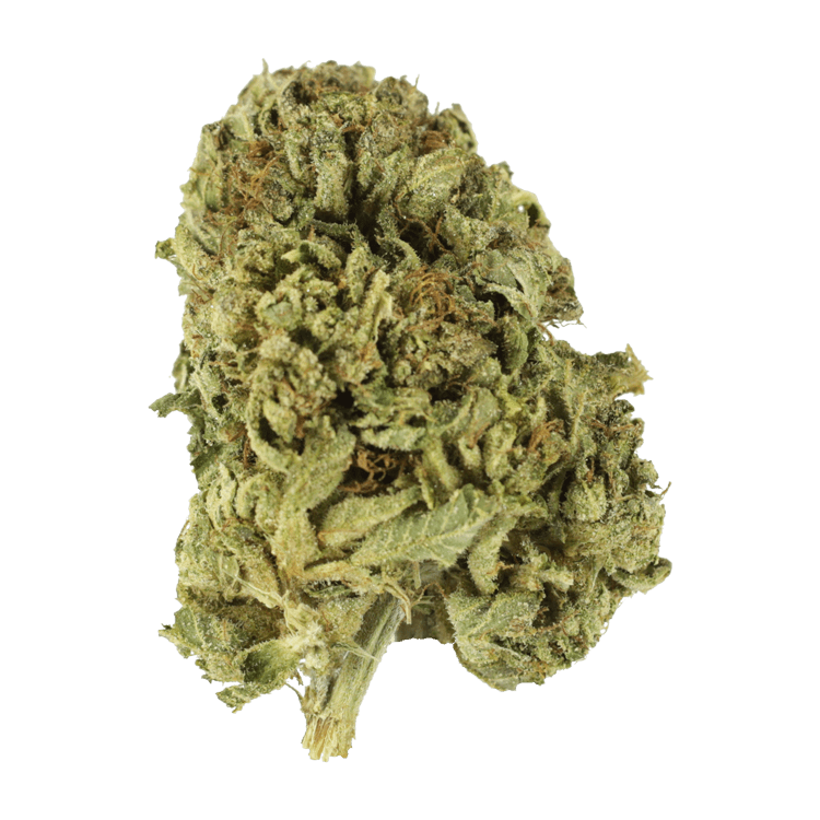 Strawberry Romulan | Pink Joint Canada Strawberry Romulan | Pink Joint Canada