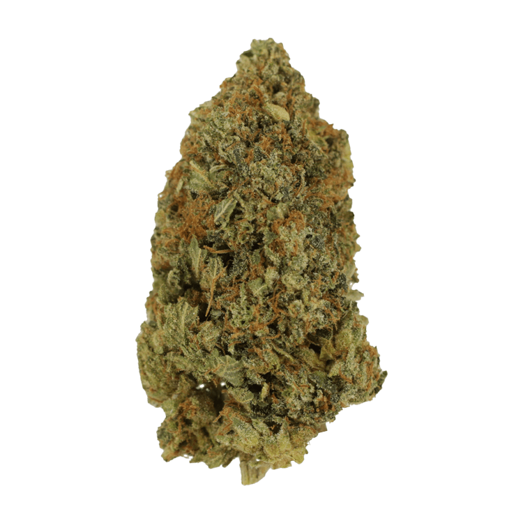 Rock Bubba | Pink Joint Canada Rock Bubba | Pink Joint Canada