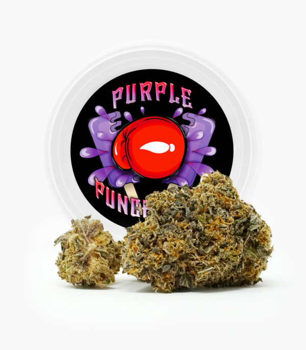 Westcoast Cali Tins – Premium Flower – Purple Punchsicle – 14g | Pink Joint Canada