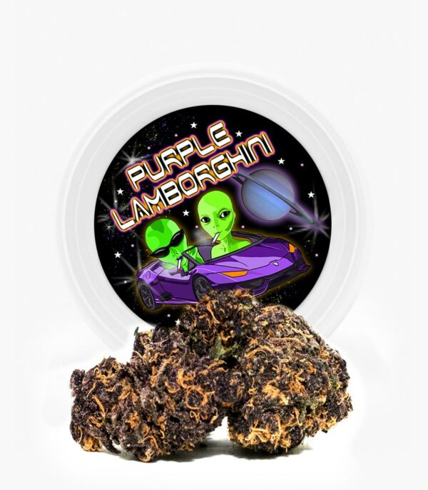 Westcoast Cali Tins – Premium Flower – Purple Lamborghini – 3.5g | Pink Joint Canada