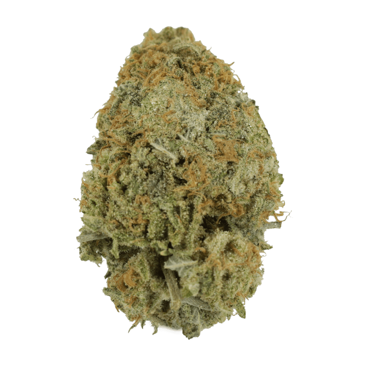 Pink Tuna (Popcorn) – $40/oz | Pink Joint Canada Pink Tuna (Popcorn) – $40/oz | Pink Joint Canada