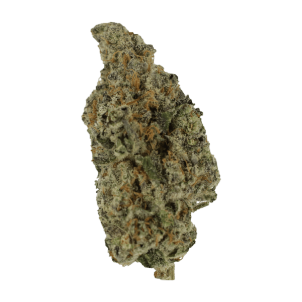 Biscotti Sundae | Pink Joint Canada