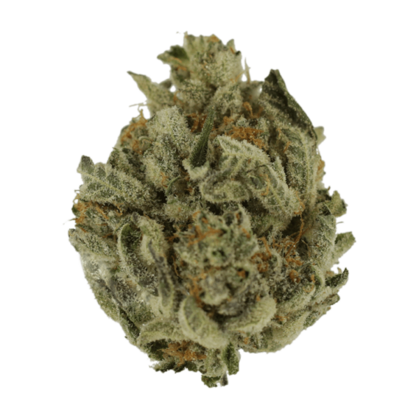 Biscotti Sundae | Pink Joint Canada