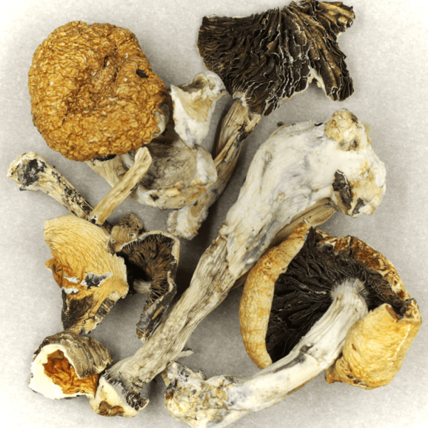 Treasure Coast | Pink Joint Canada