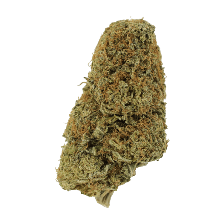 Sugar Pine | Pink Joint Canada Sugar Pine | Pink Joint Canada