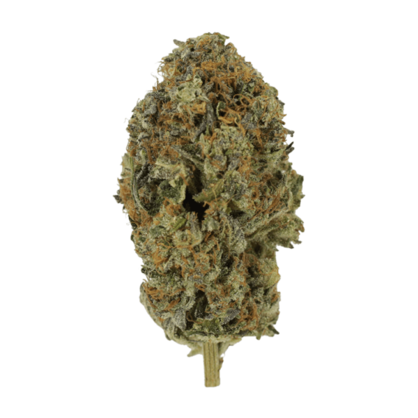 Acapulco Gold | Pink Joint Canada Acapulco Gold | Pink Joint Canada