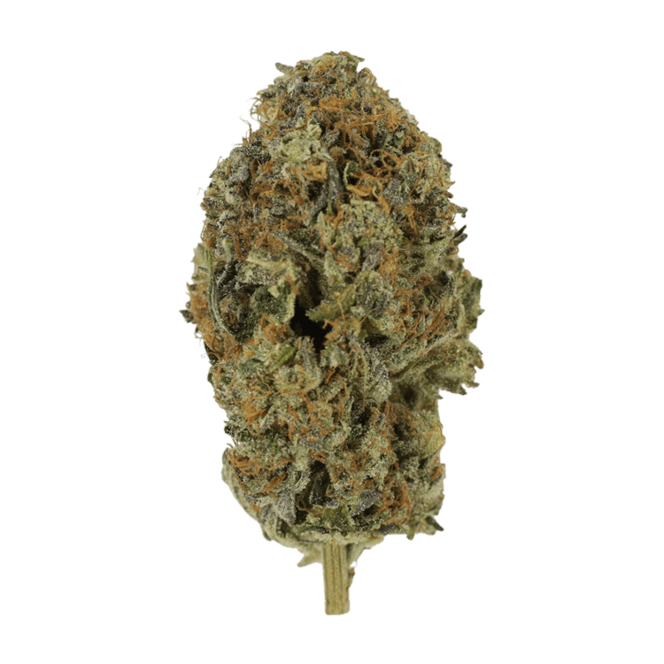 Acapulco Gold | Pink Joint Canada Acapulco Gold | Pink Joint Canada
