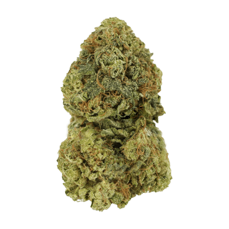 Critical Mass | Pink Joint Canada Critical Mass | Pink Joint Canada