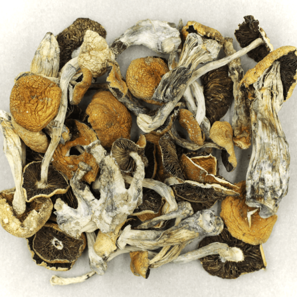 Puerto Rican | Pink Joint Canada