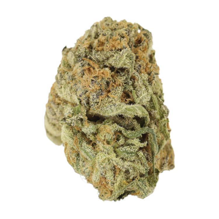 Mimosa Punch | Pink Joint Canada Mimosa Punch | Pink Joint Canada