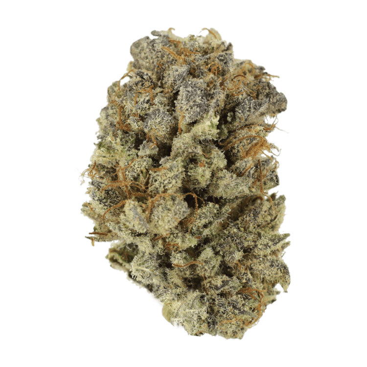 Mimosa Punch | Pink Joint Canada Mimosa Punch | Pink Joint Canada