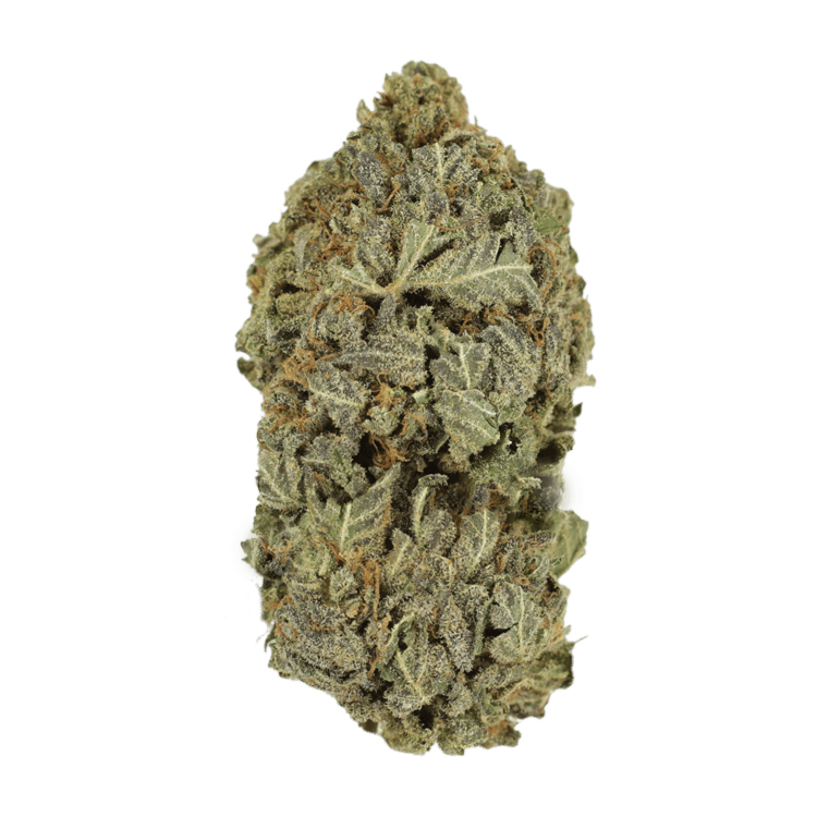 Purple Dream | Pink Joint Canada Purple Dream | Pink Joint Canada