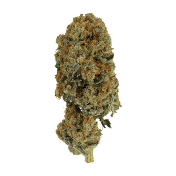 Jacks Girl | Pink Joint Canada