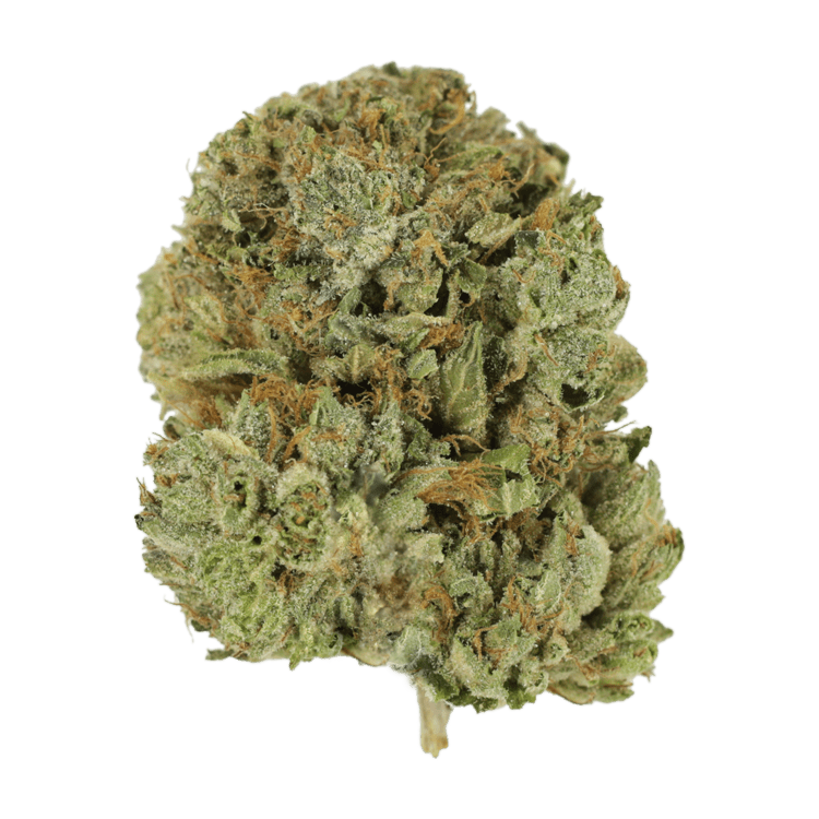 Pink Taco | Pink Joint Canada Pink Taco | Pink Joint Canada