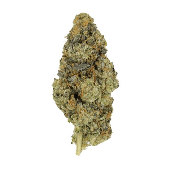 DoSi Face | Pink Joint Canada