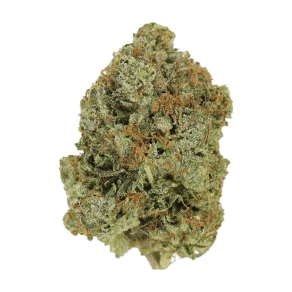 Jack Herer (popcorn) | Pink Joint Canada