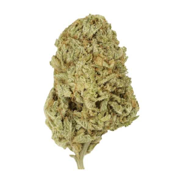 Face Mints | Pink Joint Canada