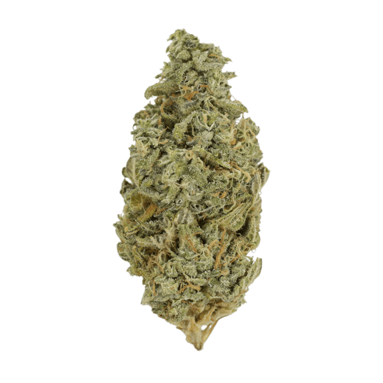 Orange Cookies | Pink Joint Canada Orange Cookies | Pink Joint Canada